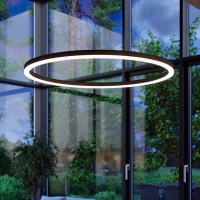 Pakabinamas šviestuvas 80 cm – žiedas, juodas, šilta LED šviesa - Nuotrauka 1