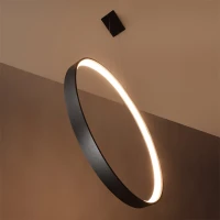 Pakabinamas šviestuvas 110 cm – žiedas, baltas, CRI93 LED - Nuotrauka 3