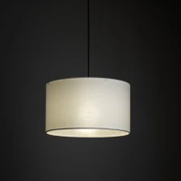 Bėginis šviestuvas TRACER 38 cm, baltas, E27 - Nuotrauka 2