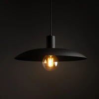 Pakabinamas šviestuvas ASTRA 15 W, juodas, E27 - Nuotrauka 3