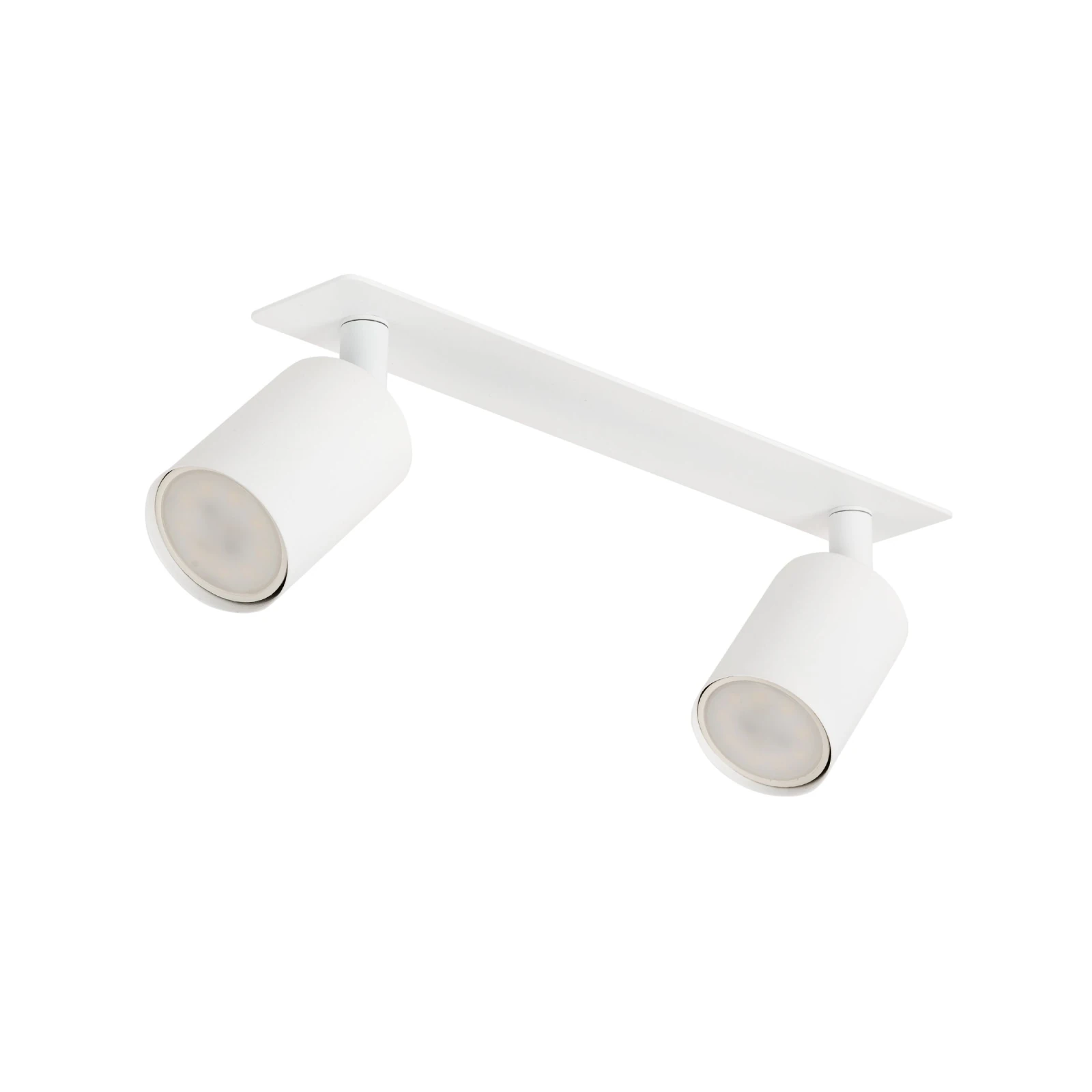 Recessed ceiling light NEX 2xGU10, white, adjustable