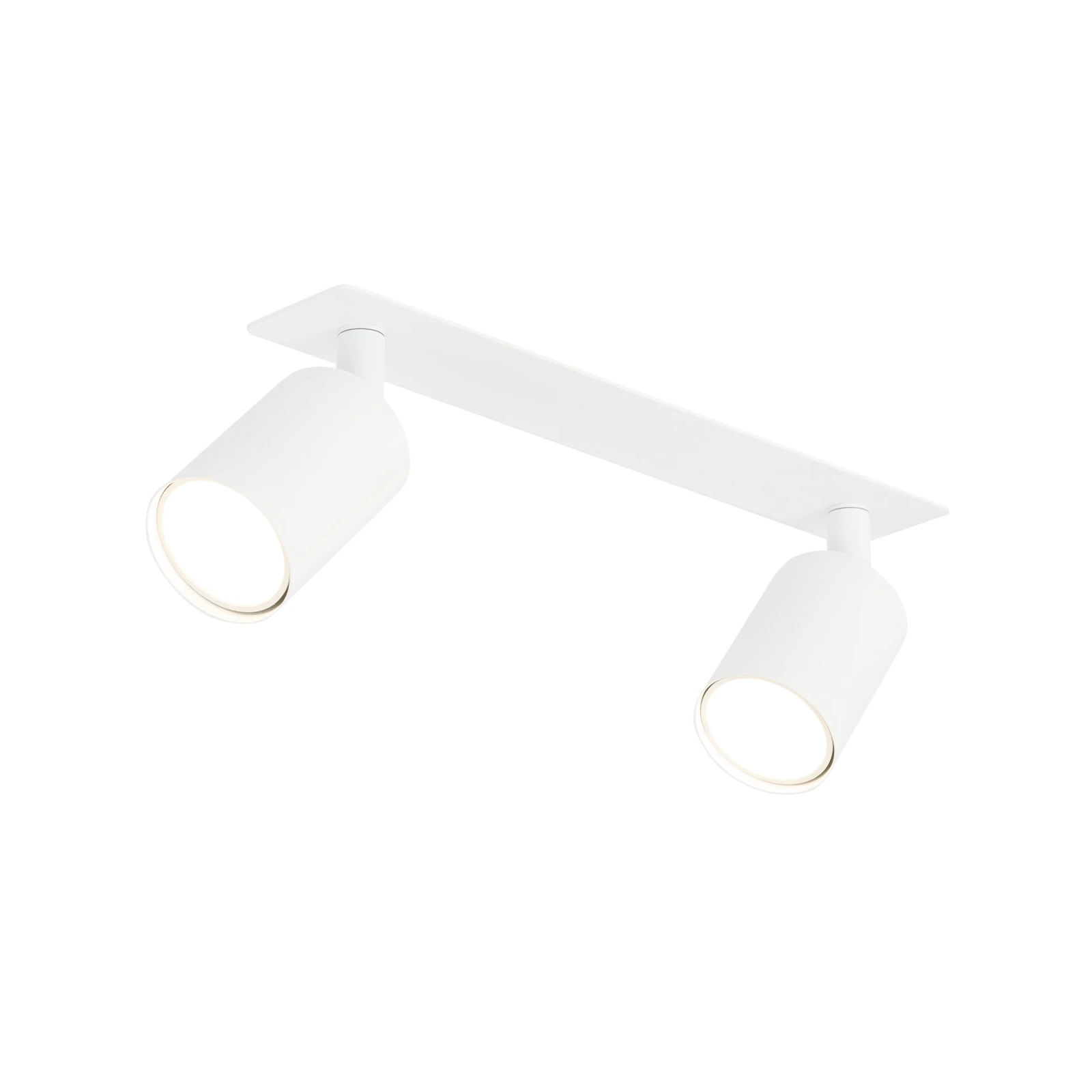 Recessed ceiling light NEX 2xGU10, white, adjustable