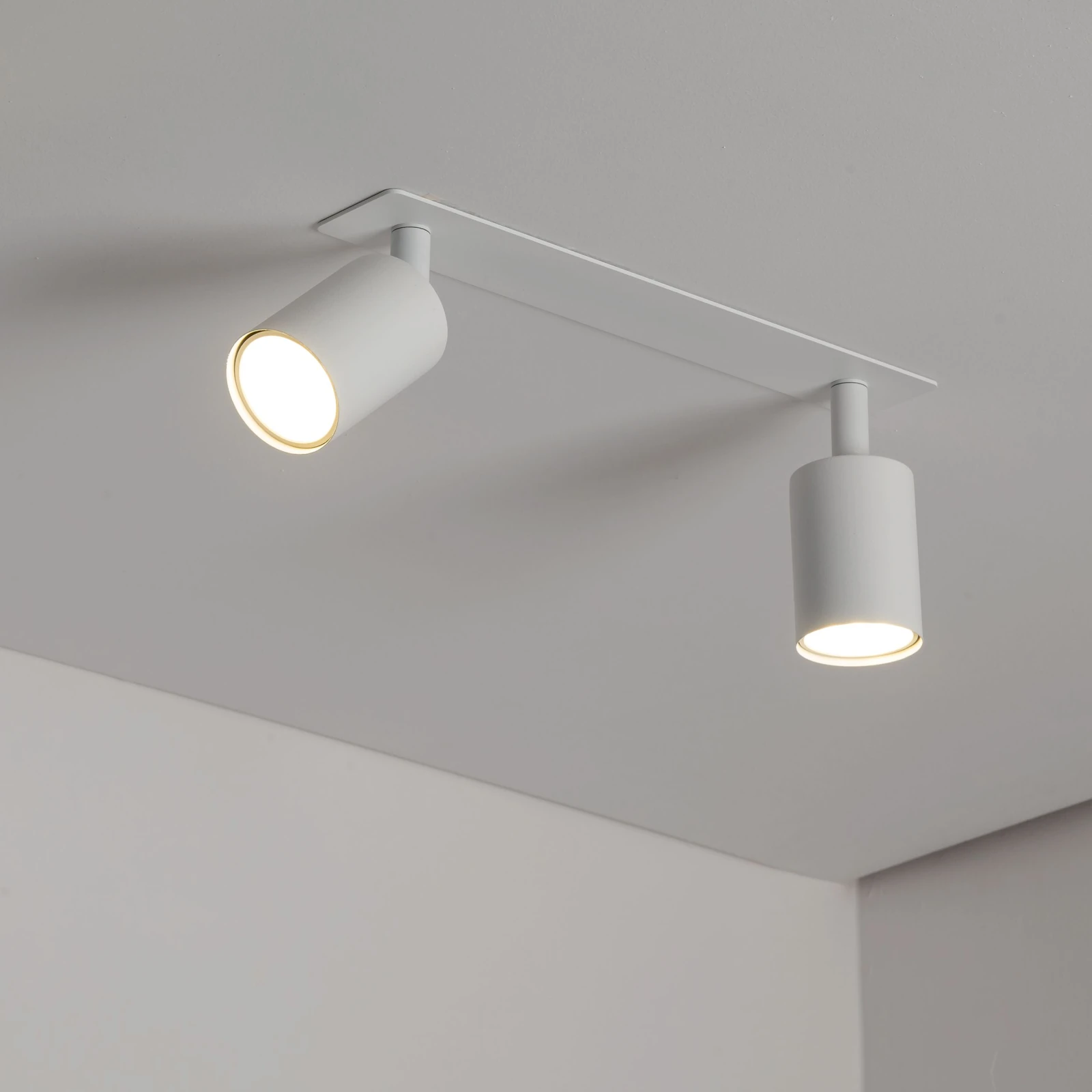 Recessed ceiling light NEX 2xGU10, white, adjustable