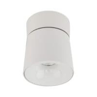 KYOTO LED ceiling light 18W – cylindrical, white, adjustable beam - Image 7