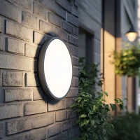 Lubinis ir sieninis LED šviestuvas SFERIS 18 W, juodas, IP54 - Nuotrauka 1