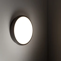 Lubinis ir sieninis LED šviestuvas SFERIS 18 W, juodas, IP54 - Nuotrauka 2