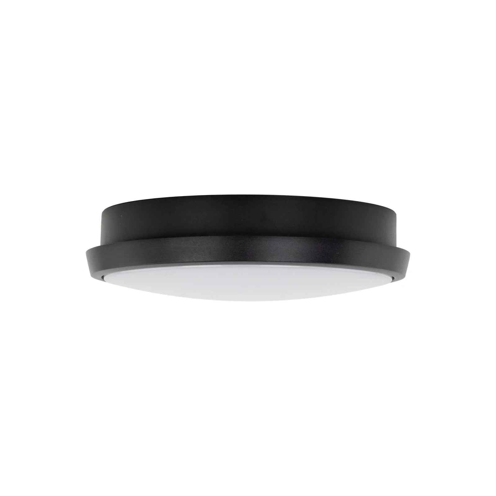 Lubinis ir sieninis LED šviestuvas SFERIS 18 W, juodas, IP54