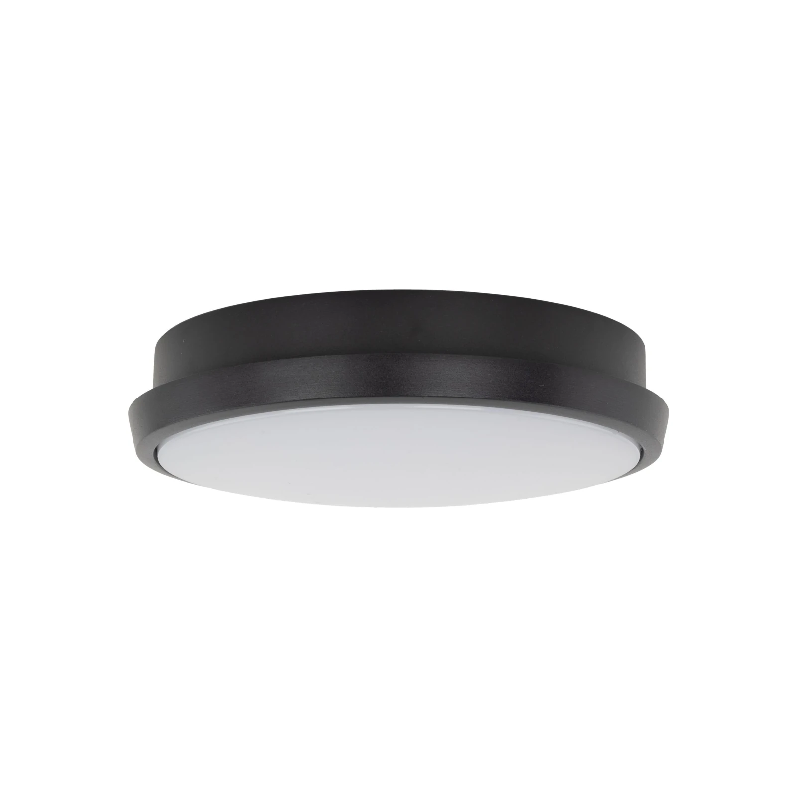 Lubinis ir sieninis LED šviestuvas SFERIS 18 W, juodas, IP54