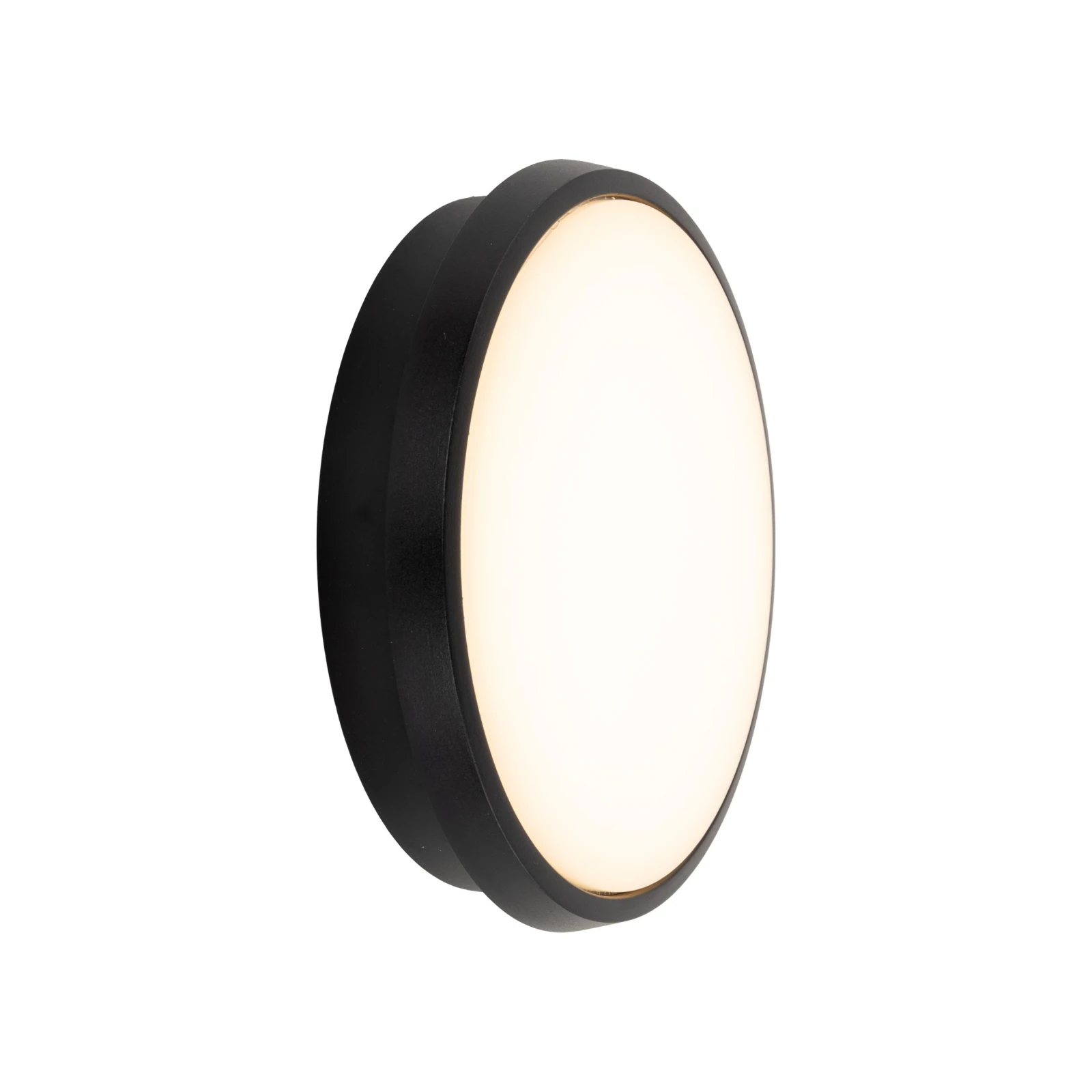 Lubinis ir sieninis LED šviestuvas SFERIS 18 W, juodas, IP54
