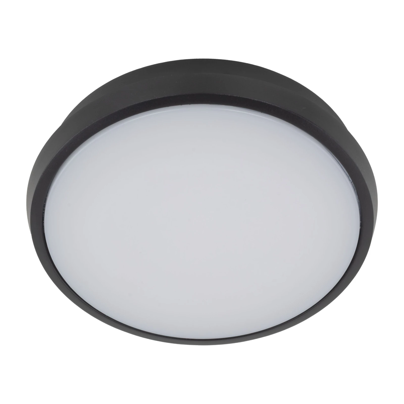 Lubinis ir sieninis LED šviestuvas SFERIS 18 W, juodas, IP54