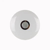 LED ceiling light 10 W – white, warm light, 1000 lm