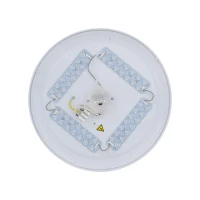 OYSTER LED plafonas 24 W, baltas, CCT - Nuotrauka 9