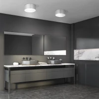 LIVO ceiling fixture – round, chrome, 2 x E27, IP54 - Image 1