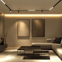 Magnetinis bėgelinis LED šviestuvas 12 W, juodas, CCT - Nuotrauka 3
