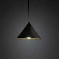 TRACER CONO bėgelio šviestuvas 15 W, rudas, E27 - Nuotrauka 2