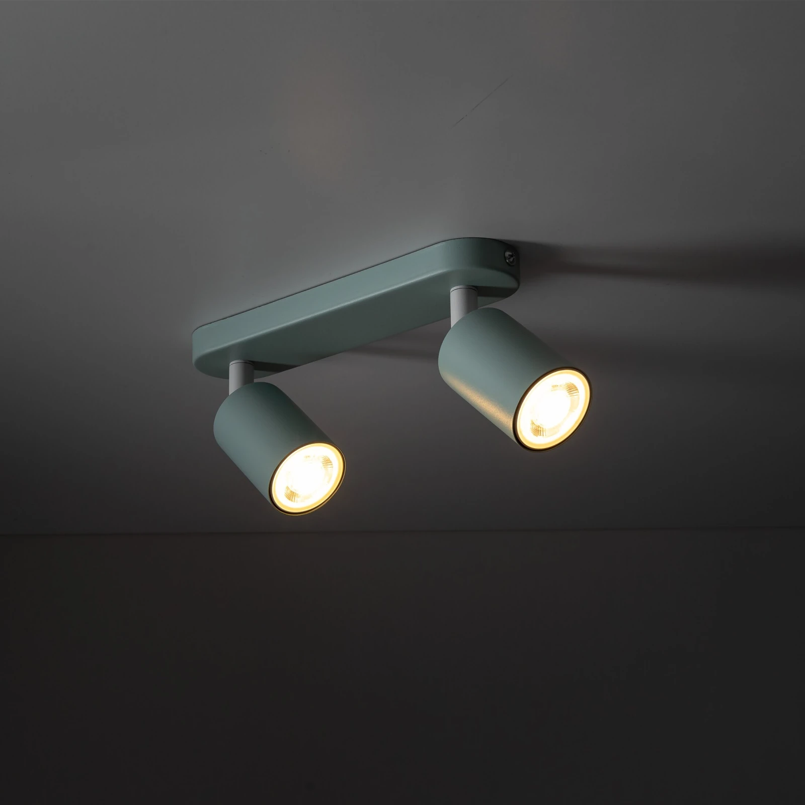 LIVIA 2xGU10 ceiling light – mint, adjustable spotlights