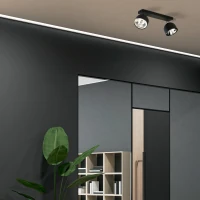 Ceiling lamp 2x20W – black, round adjustable spotlights - Image 1