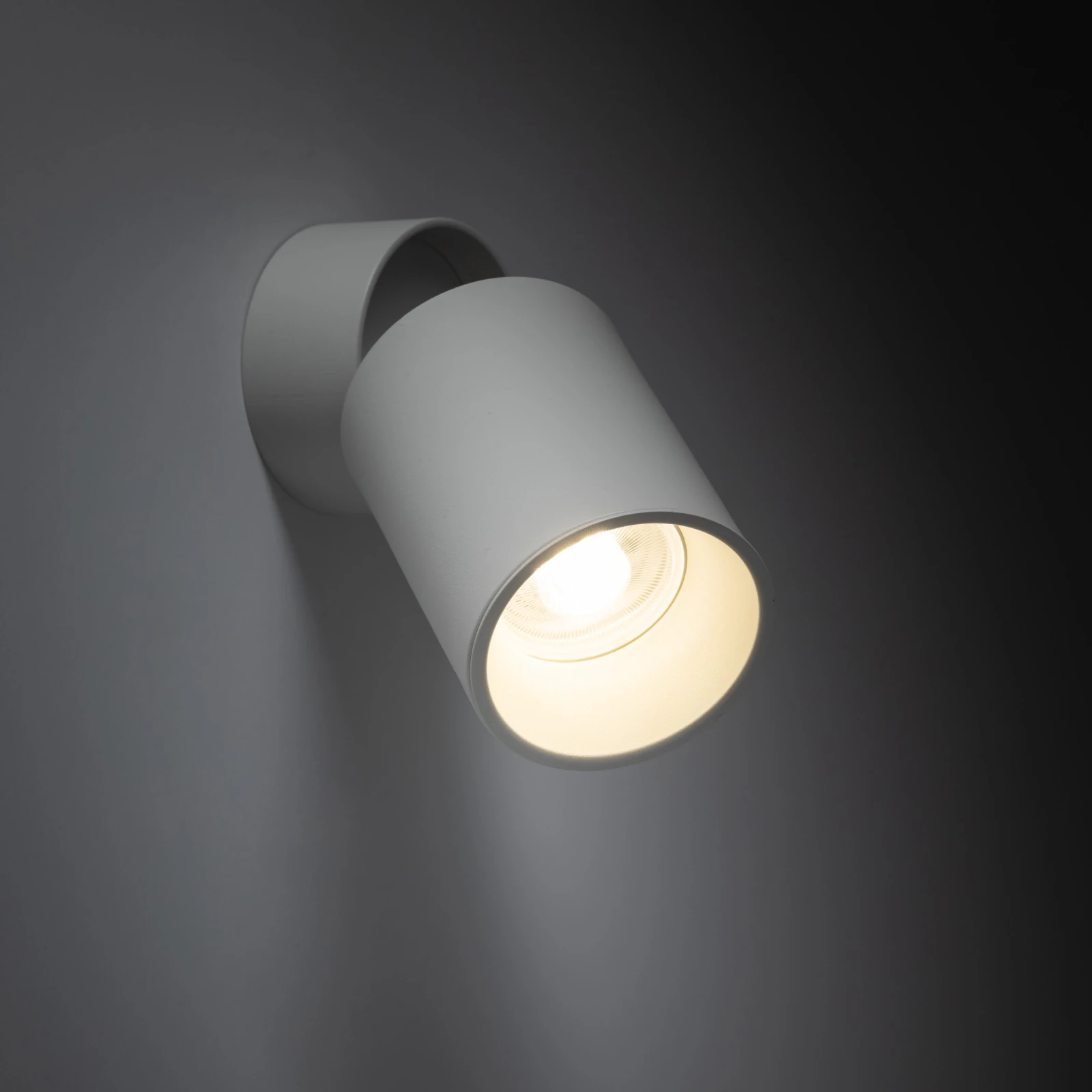 Ceiling light 10 W – white GU10 spotlight, adjustable angle