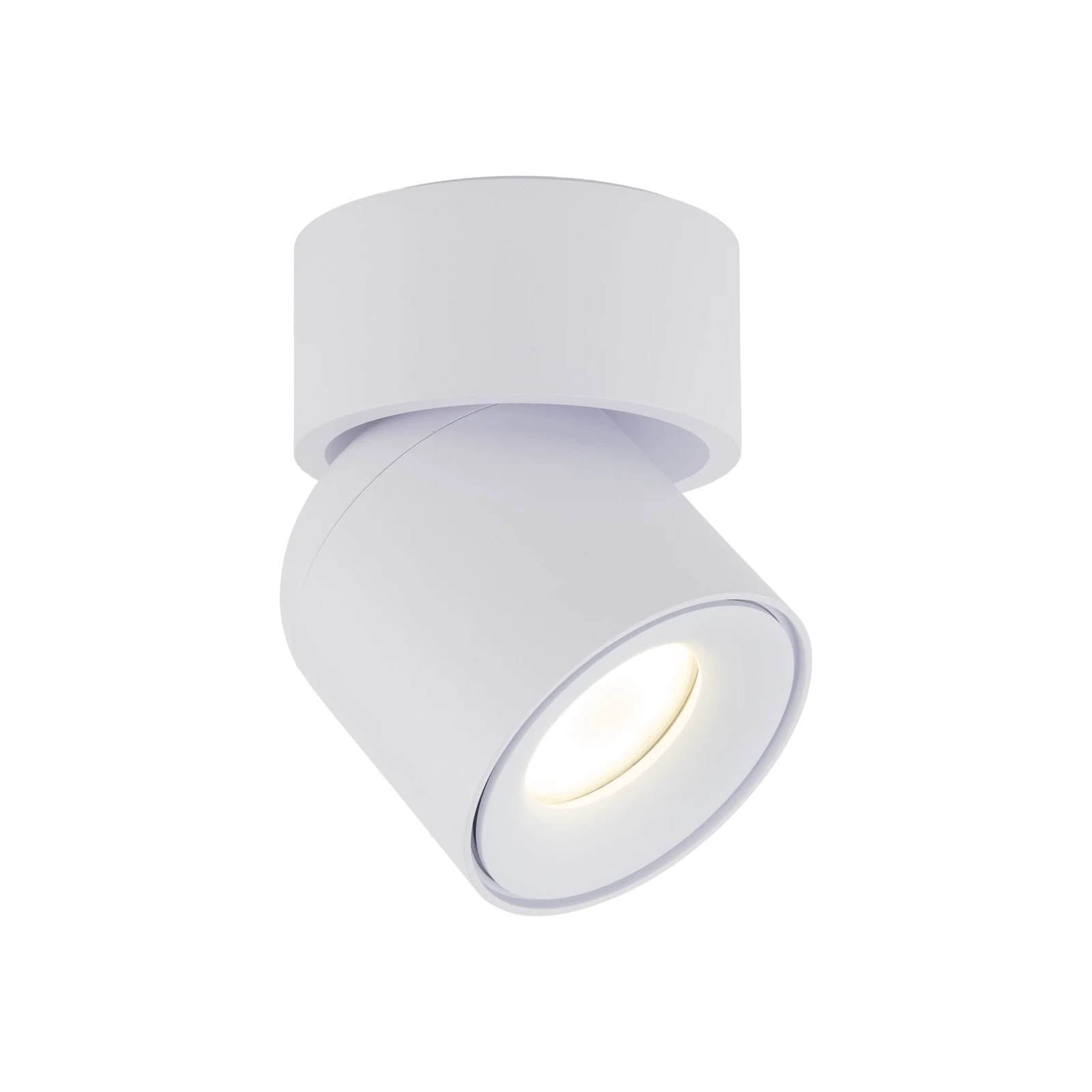 Adjustable GU10 spotlight 10 W – round, white, IP65