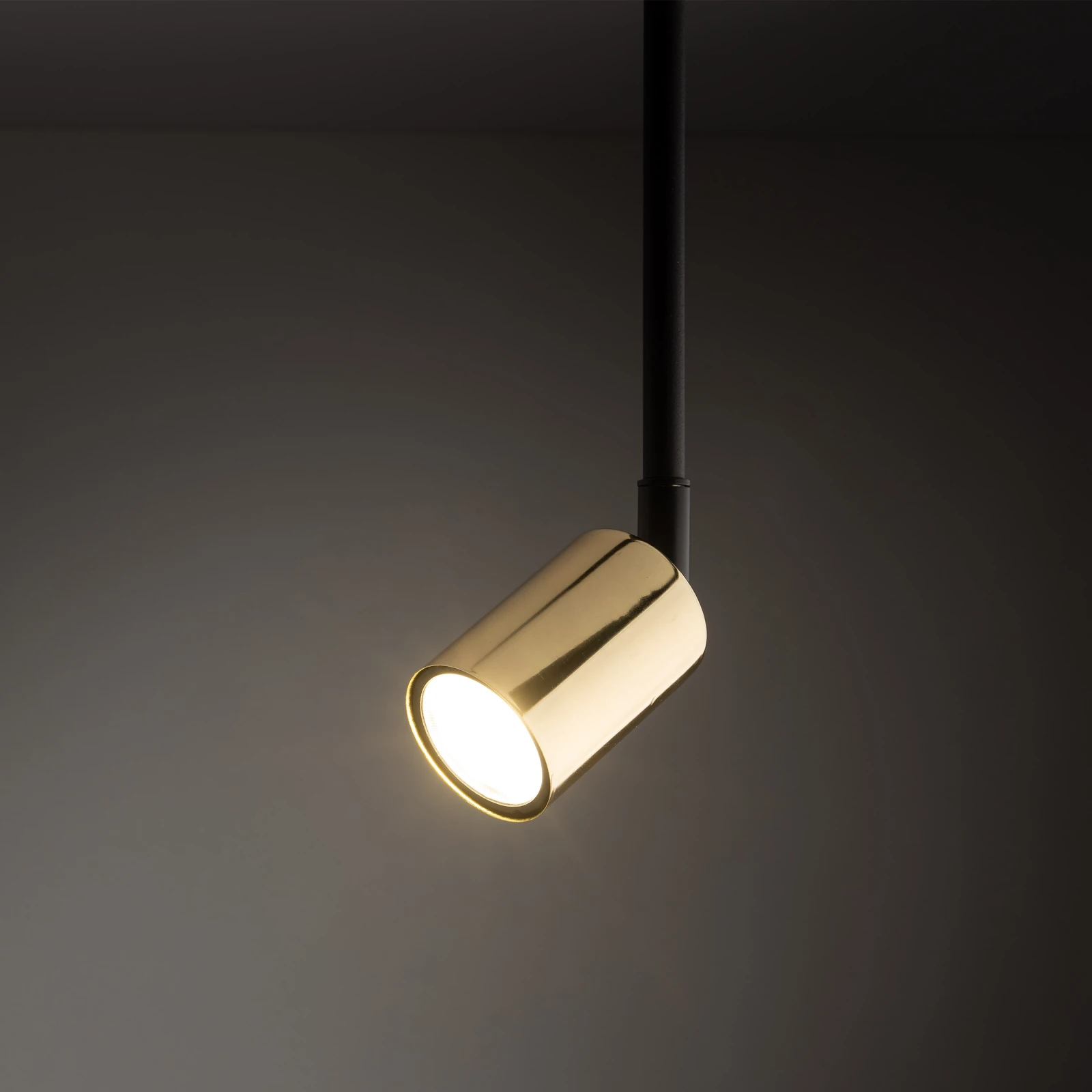 TRACER 10 W track spotlight – long black body, gold detail
