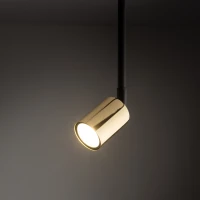 TRACER 10 W track spotlight – long black body, gold detail - Image 1