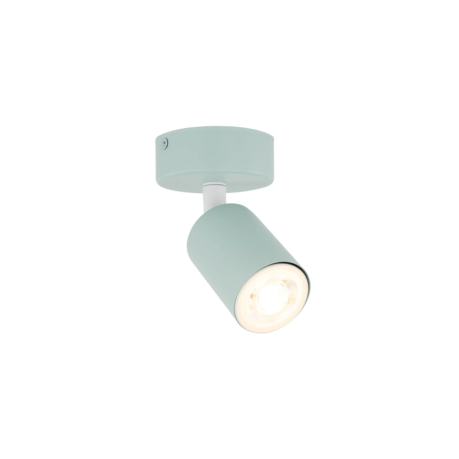 Wall light 1x10 W – round, mint, adjustable beam