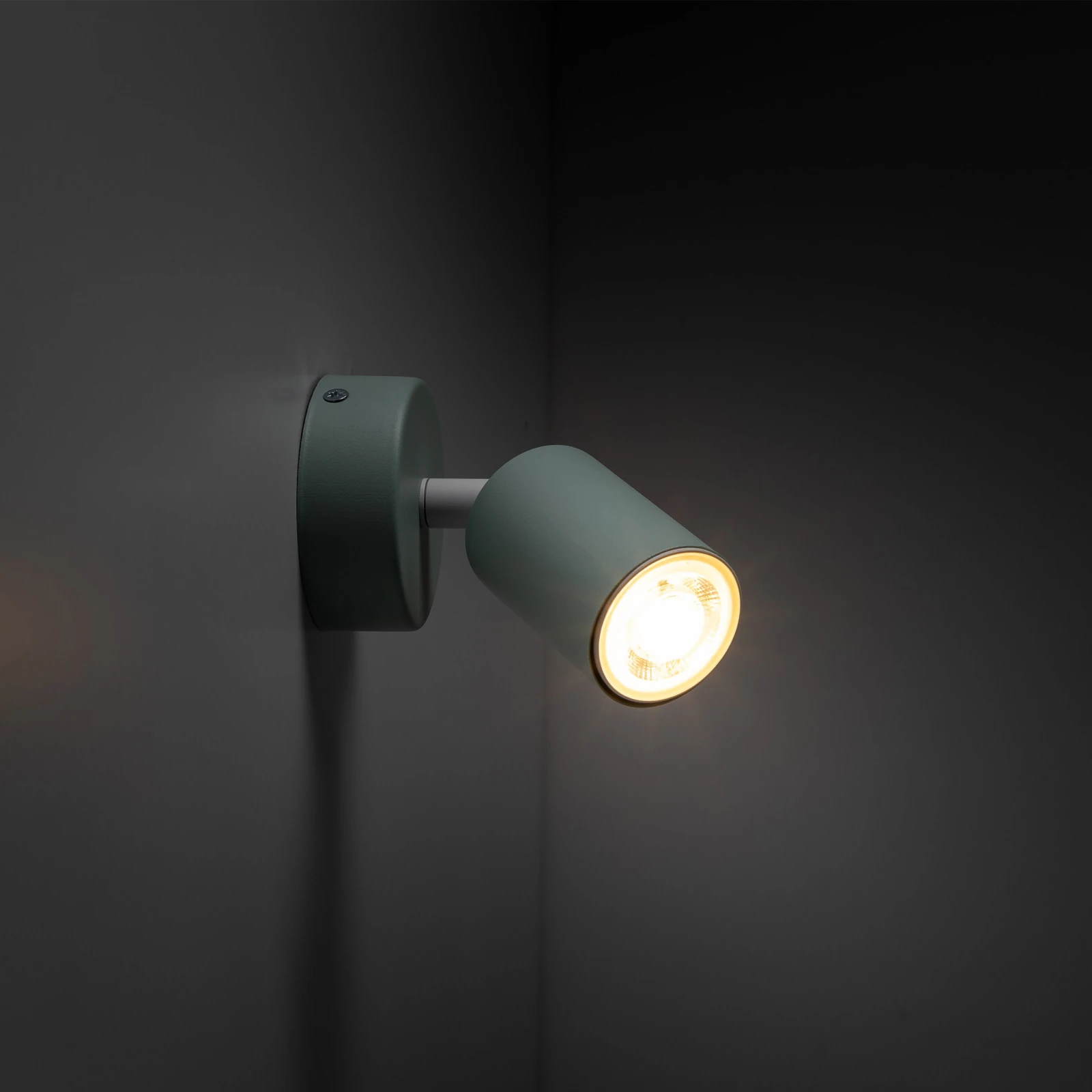 Wall light 1x10 W – round, mint, adjustable beam