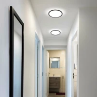 AQUA 30 cm LED lubinis šviestuvas, juodas, CCT