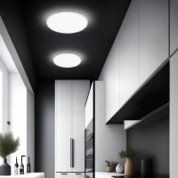 AQUA 30 cm LED lubinis šviestuvas, baltas, CCT
