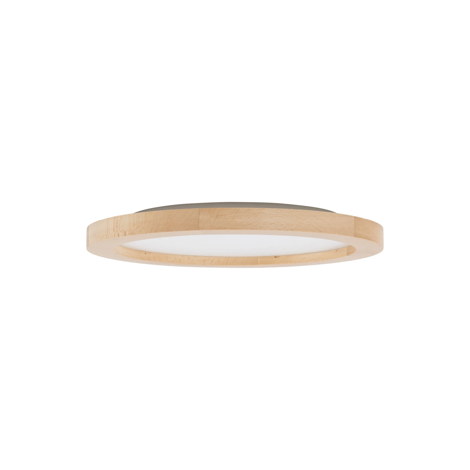 AQUA WOOD LED lubinis šviestuvas 32,5 cm, 24 W, IP54