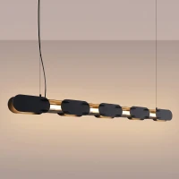 Pakabinamas LED šviestuvas 158 cm – linijinis, juodas, DALI - Nuotrauka 1