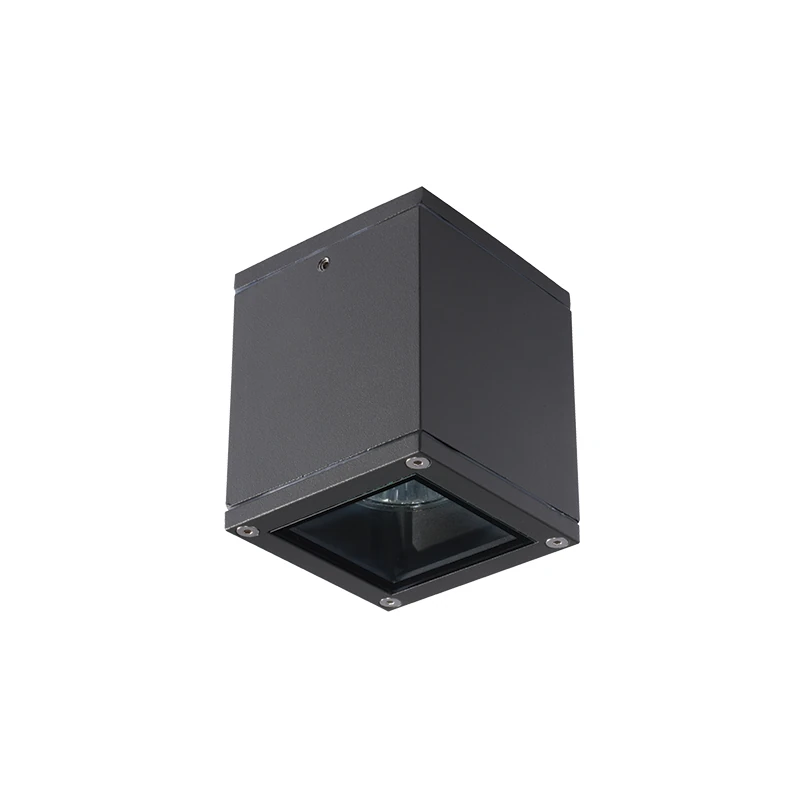 Outdoor Ceiling Light GU10 IP65 Graphite