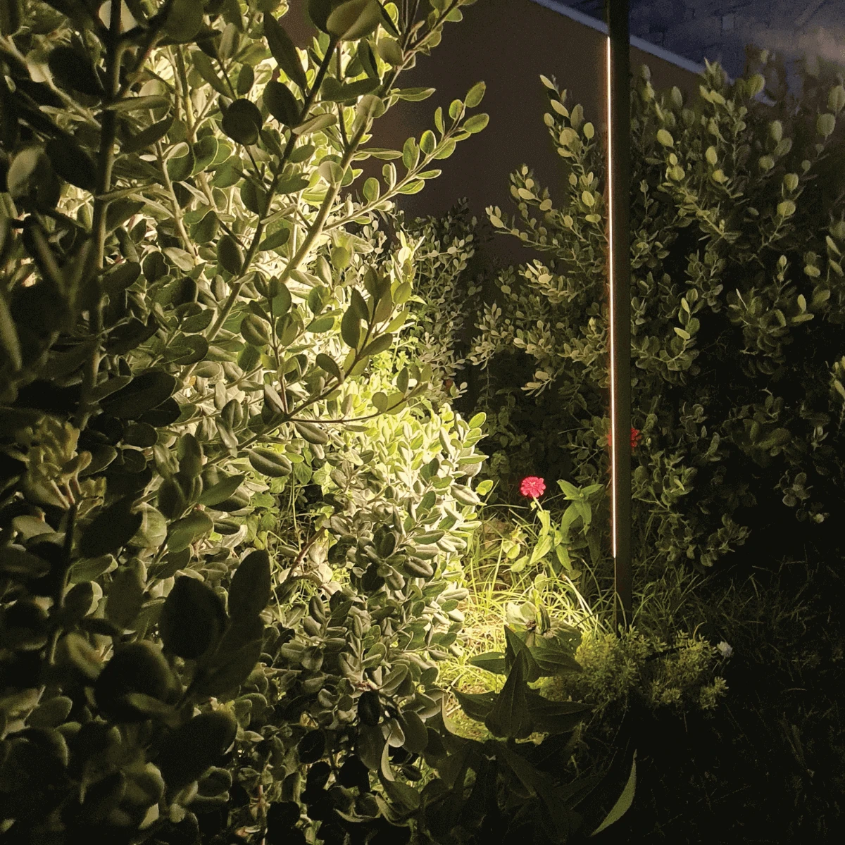 LED Lauko Sodo Smaigalinis Šviestuvas 15W 3000K IP65 Tamsiai Rudos Spalvos