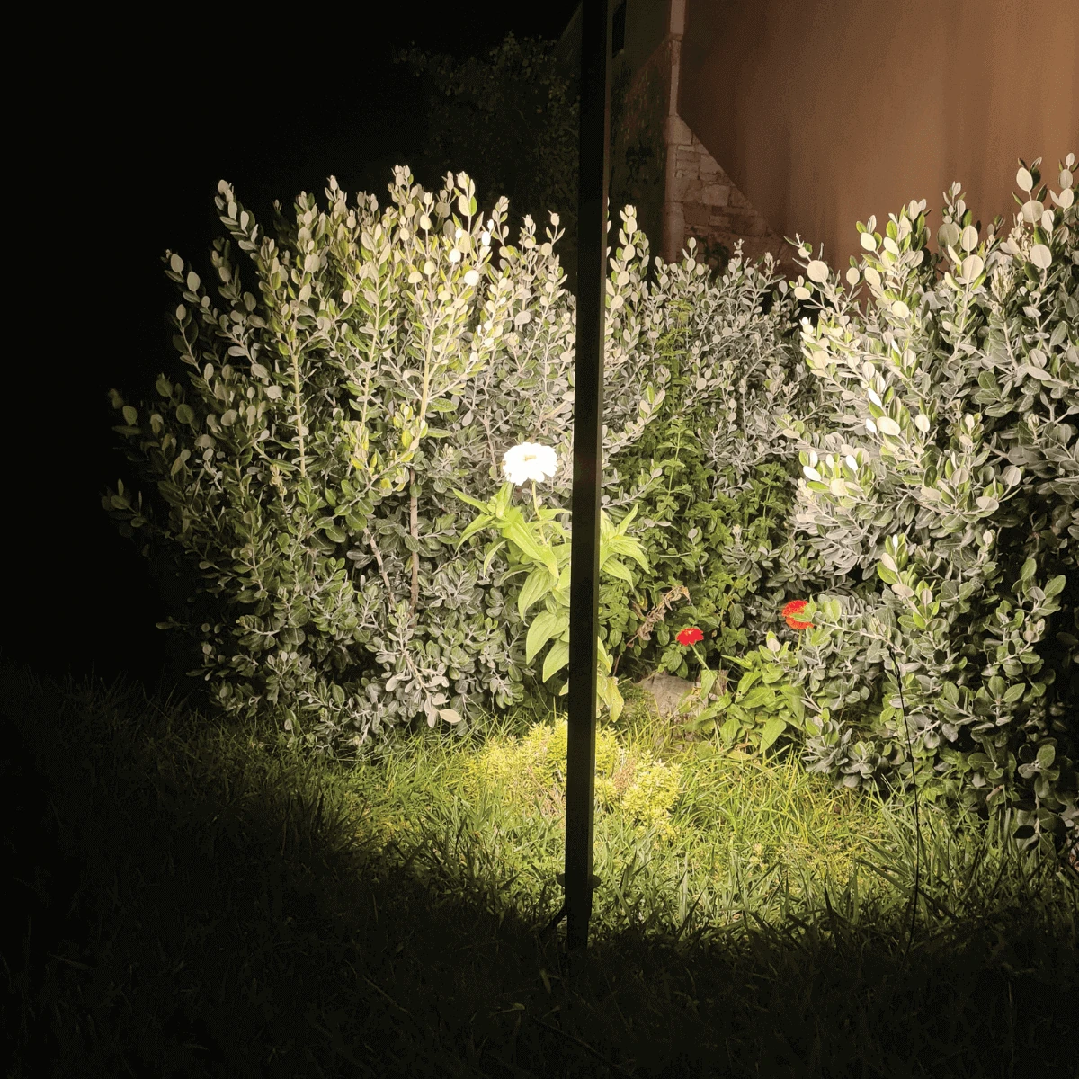 LED Lauko Sodo Smaigalinis Šviestuvas 15W 3000K IP65 Tamsiai Rudos Spalvos