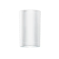Cylindrical Outdoor Ceiling Light GU10 IP54 White Matt - Image 1