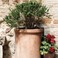 Outdoor Garden Spike Spotlight GU10 IP54 Black - Image 1