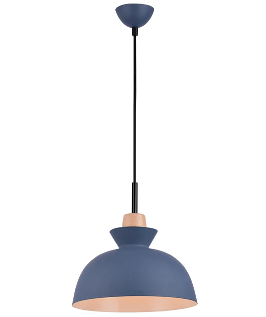 Blue Matt Pendant Light with Wood Accent