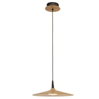 Natūralaus Medžio ir Juodo Metalo LED Šviestuvas 6W 3000K - Nuotrauka 2