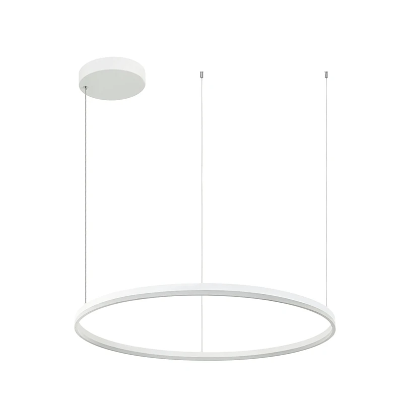 Baltas Matinis LED Pakabinamas Šviestuvas | Žiedinis ir Linijinis Dizainas