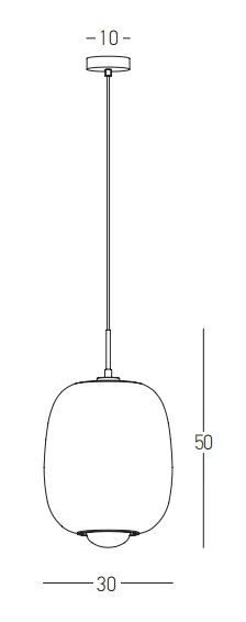 LED Pakabinamas Šviestuvas | Auksinis Matinis | Skaidrus ir Opalinis Stiklas