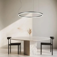 Juodo matinio paviršiaus apskritas LED pakabinamas šviestuvas Ø120cm - Nuotrauka 1