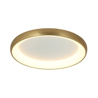 Brushed Gold Matt Dimmable Ceiling Light 80 cm - Image 1