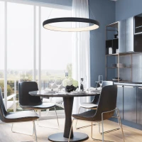 LED pakabinamas žiedinis šviestuvas, Ø80cm, smėlio juodas - Nuotrauka 3