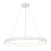 Reguliuojamas LED žiedo pakabinamas šviestuvas, Ø80cm, smėlio baltumo - Nuotrauka 1