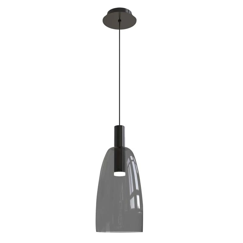 Modernus LED pakabinamas šviestuvas, juodas matinis, dūminis stiklas