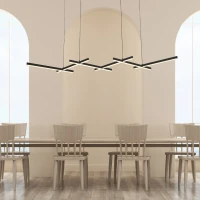 Geometrinis juodas matinis LED pakabinamas šviestuvas - Nuotrauka 1