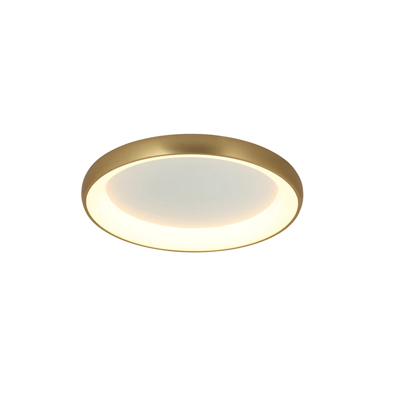 Šlifuoto aukso matinis 40cm LED lubinis šviestuvas 3000K, reguliuojamo ryškumo