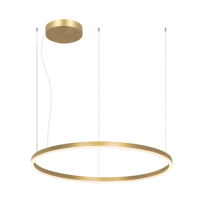 Gold Matt LED Ring Pendant Light