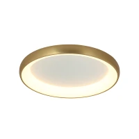 Brushed Gold Matt LED Ceiling Light, 60 cm - Image 1
