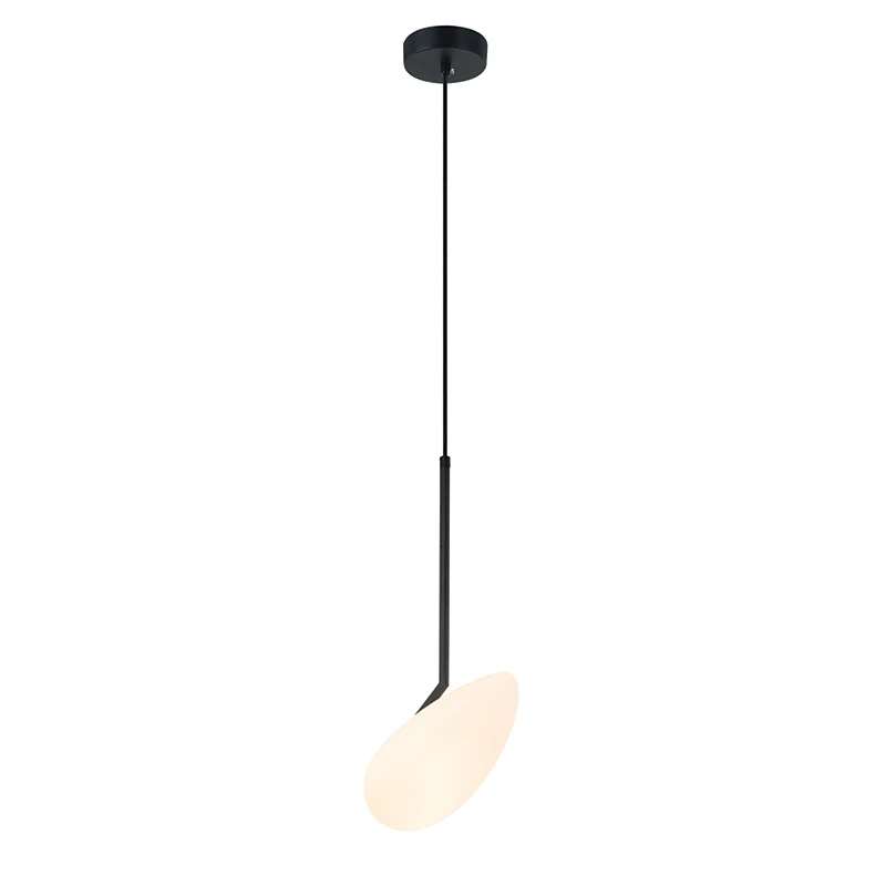 Juodas matinis LED pakabinamas šviestuvas, 5W 3000K, su ovaliu opalinio stiklo gaubtu